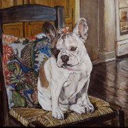 French Bulldog pet portrait by Patricia Thomas